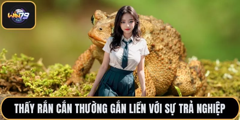 Thấy rắn cắn thường gắn liền với sự trả nghiệp